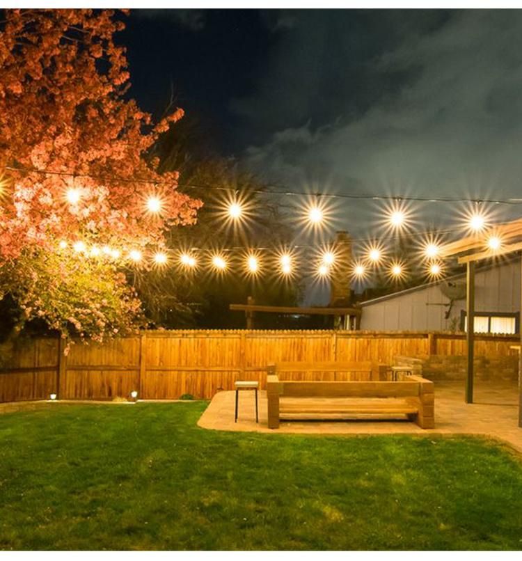 A19 A60 G50 LED Bulbs Garden Patio Outside String Festoon Lights