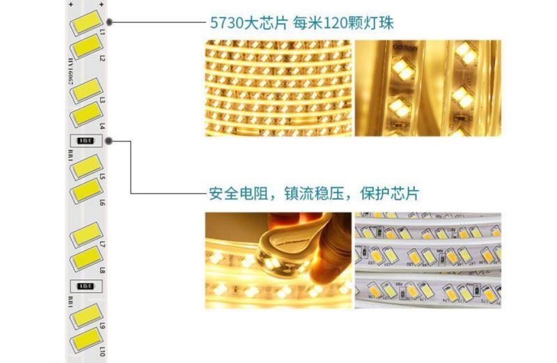 IP67 LED Strip 220V 5630/5730 120LED/M Waterproof Flexible Strip