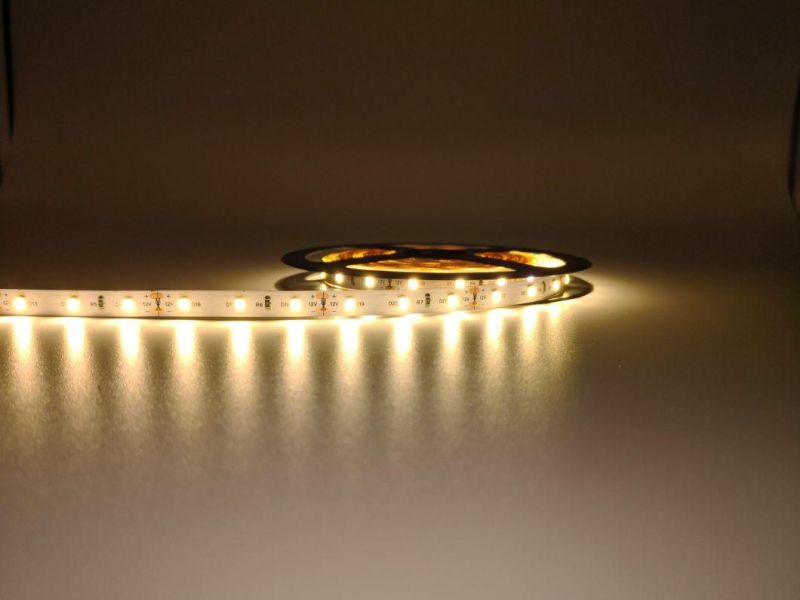 Flexible LED Strip Tape SMD 2835 60LEDs/M LED Strip Light LED Neon Flex Strip