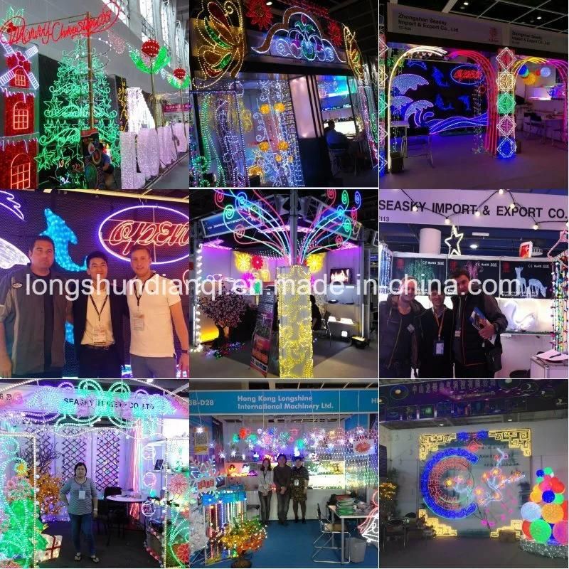 Wholesale 3*3m 220V LED Curtain Light for Wedding Decoration