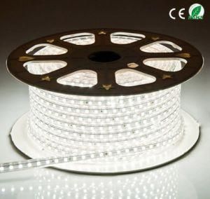 Shenzhen High Voltage 5050 Single Color LED Rope Light