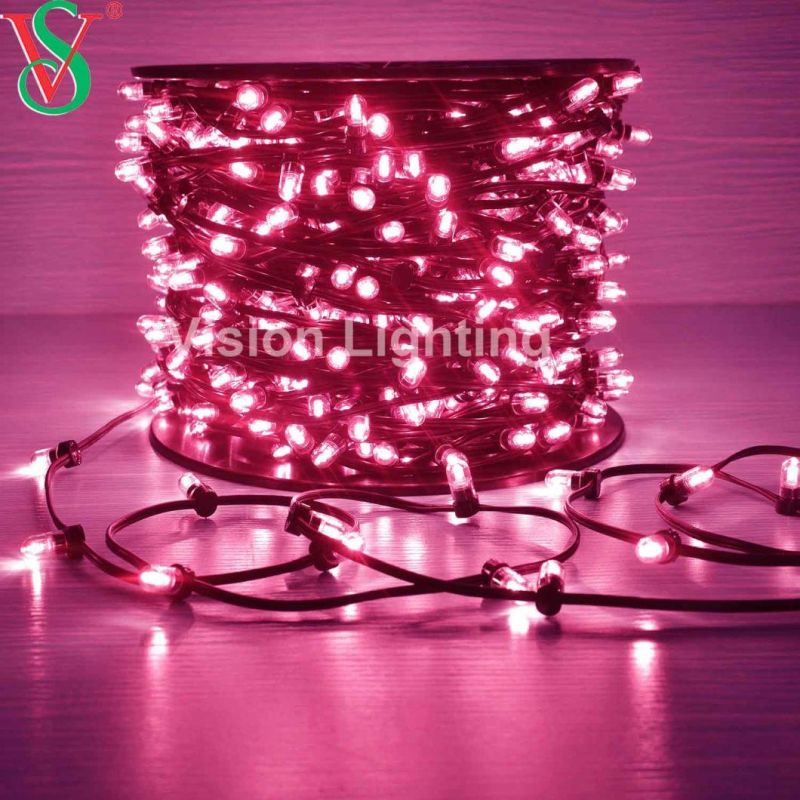 Christmas High Quality IP 65 LED Decoration Clip Strip Light