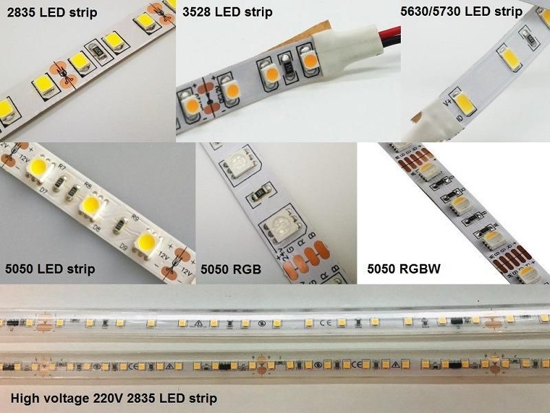 TUV Ce 5050 LED Strip 60LEDs 14.4W for Decorative Lighting