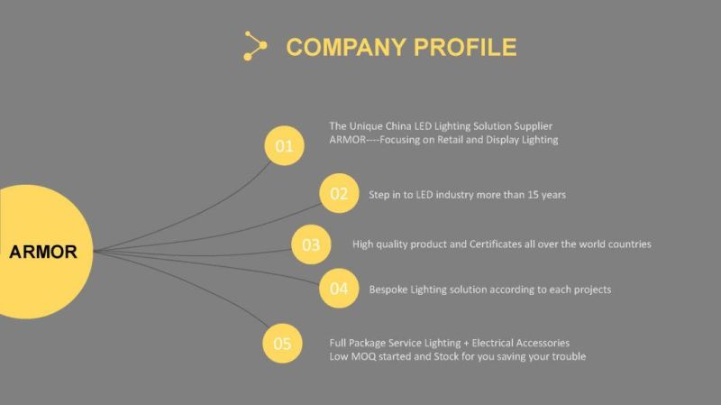 UL CE Approved Dimmable Flexible Neon LED Strip Light