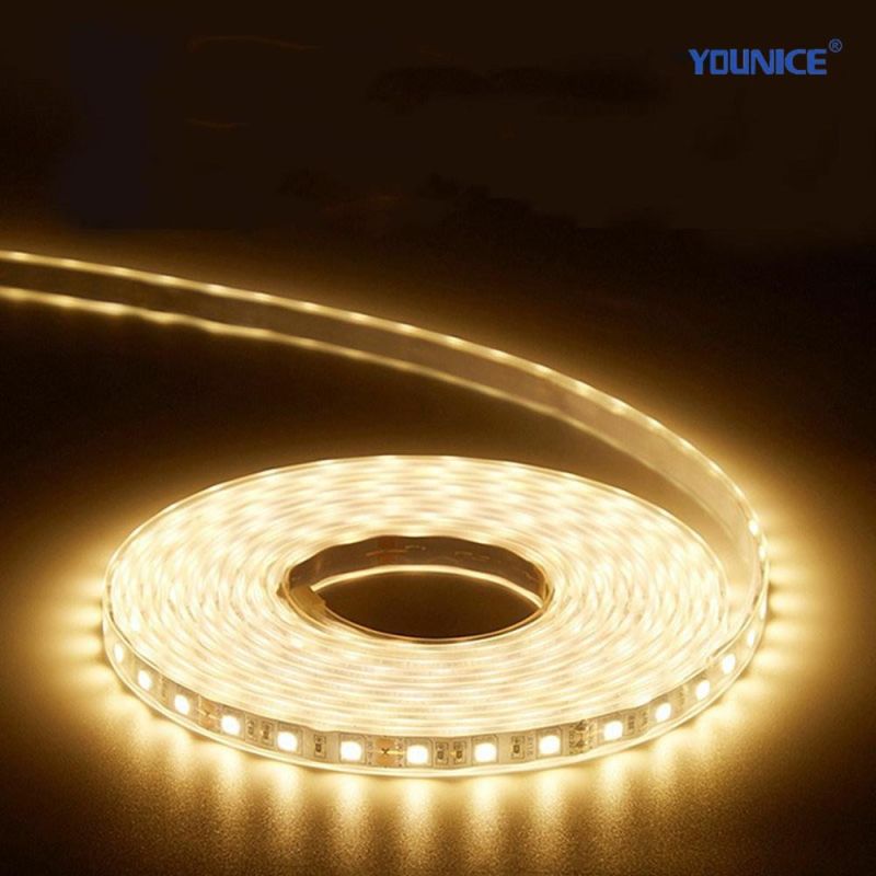 10mm Width DC24vd CRI>95 Ra>97 Full Spectrum 2700K LED Strip