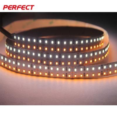 High CRI Ra90 SMD2216 Cw/Ww Dual White Color Temperature Adjustable CCT 12V 24V Double Color LED Flexible Strip