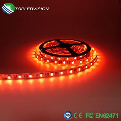 High Quality 300LEDs 5m RGB+Ww/Nw/Cw LED Strip 2years Warranty