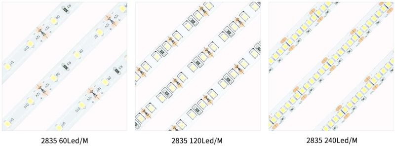 Best Quality SMD2835 240LED DC24 IP20 Single Color LED Light Strips