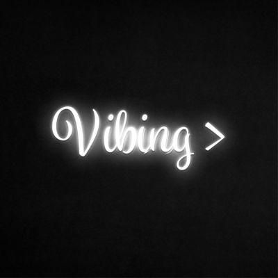 No MOQ Drop Shipping Custom Indoor Decorative Vibing LED Light Neon Sign