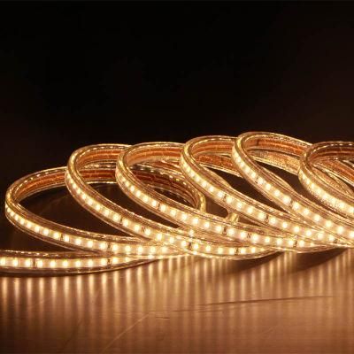 AC230V Ce Certified LED Strip Light