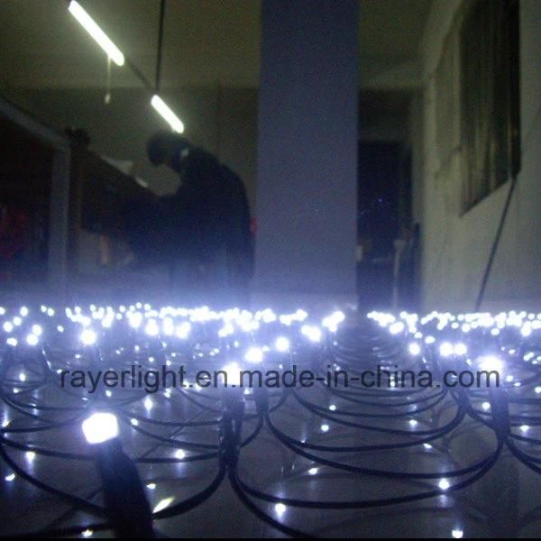 2.4*1.2m Professional Garden LED Net Light Christmas Decoration