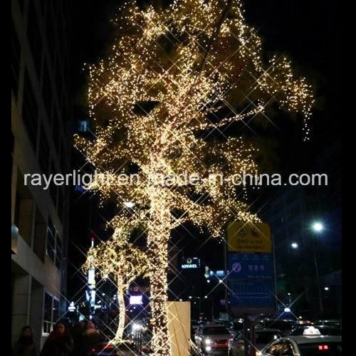 LED High Quality Outdoor Decoration LED Outdoor Decorative String Decorative Light