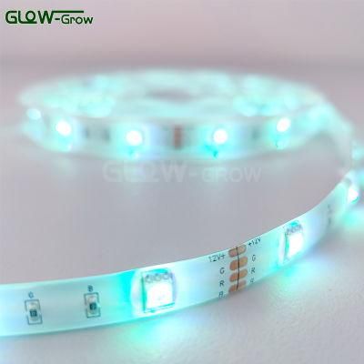 5m 30LEDs/M Smart RGB LED Light Strip with RF Receiver and APP Control