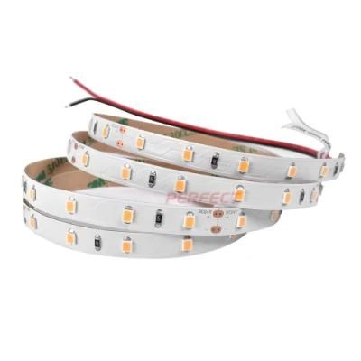 Hot Selling Full Spectrum CRI 99 12V 24V Waterproof Light Strip LED SMD 2835 Flexible LED Strip Lights