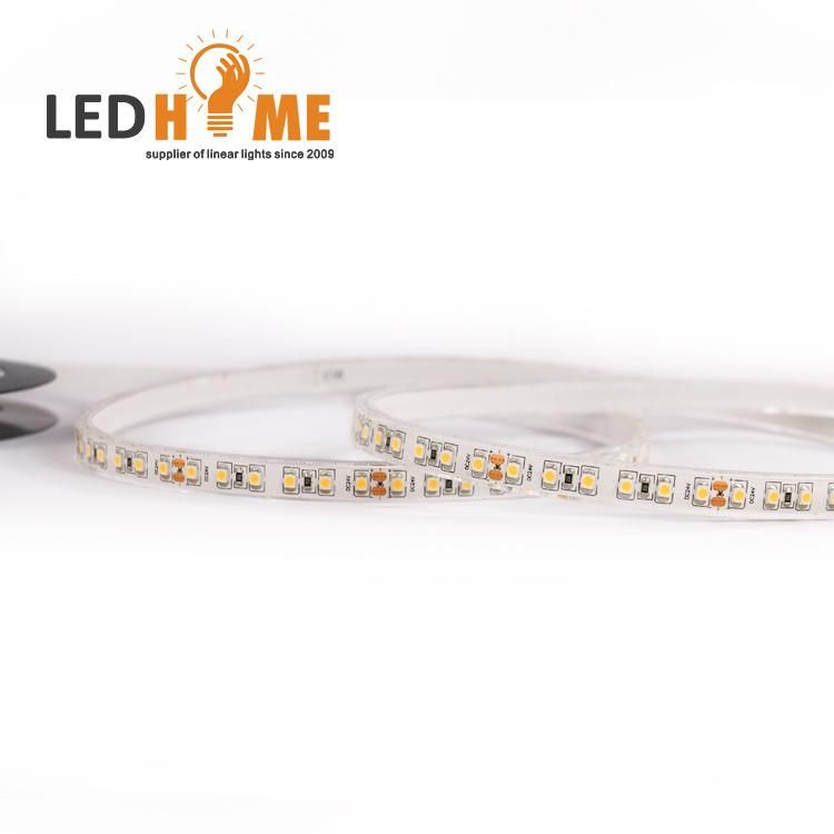 Factory Price SMD LED Strip Lighting LED Flexible Strip Lighting 120LEDs/M