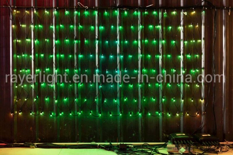 Flashing Christmas Addressable RGB LED Intelligent Net Lights