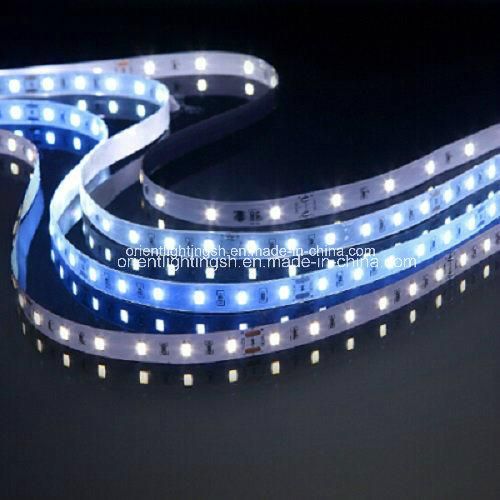 UL Ce 30 LEDs/M SMD5050 High Power IP65 Flexible LED Strip Light