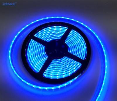 IR Remote Control 5050 RGB Color Changing Light LED Strips