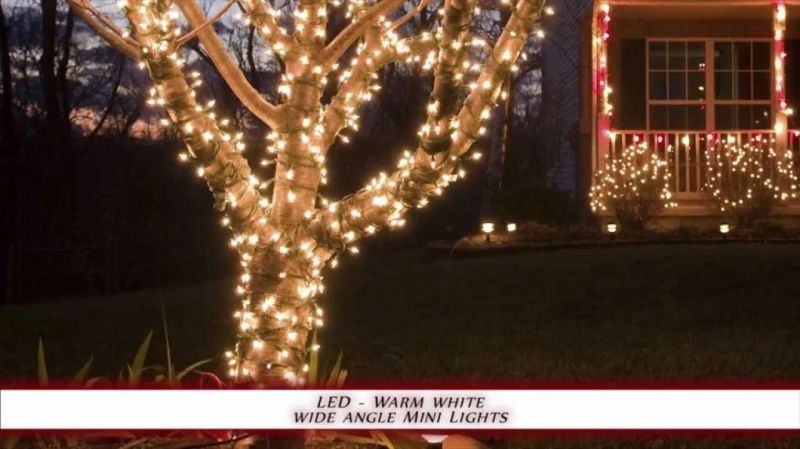 Warm White White Christmas LED C7 Bulbs