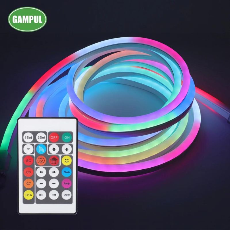 China Custom Waterproof Flexible RGB Chasing LED Neon Lights