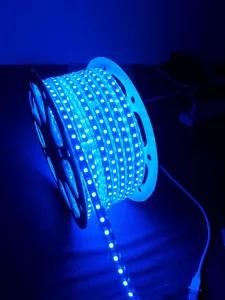 5050SMD RGB Color 60LED/M LED Strip Light with Controller