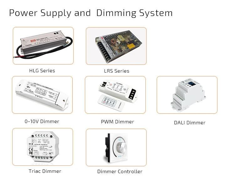 SMD3528 24V Topview LED Neon Strip Light