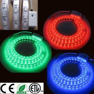 110V/220V//240V/127V/277V RGB Color Changing LED Strip Light ETL LED Ribbon