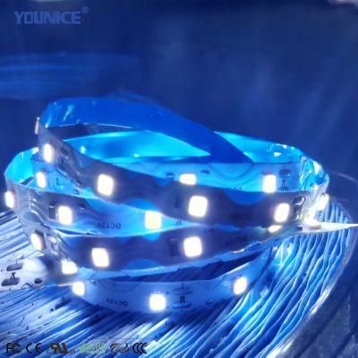 5.4W DC12V Super Long Welding Free S-Type SMD2835 LED Flexible Strip for Minicharacters