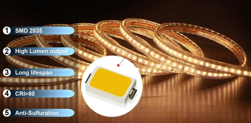 LED Strip Light LED Rope Light SMD2835 USA Certificate ETL Llisted 49.2 FT