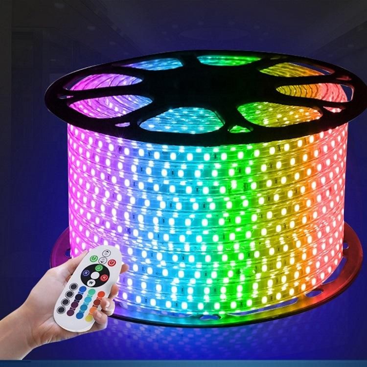 RGB Strip Light Decoration Light AC220V/110V SMD5050 Flexible Strip Light RGB /Holiday LED Light Christmas Light