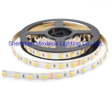 5050 CCT Tunable Ww/Cw 2in1 LED Strip Light