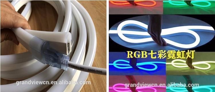 Waterproof 24V LED Neon Rope Light for Swimming Pool Rope Light