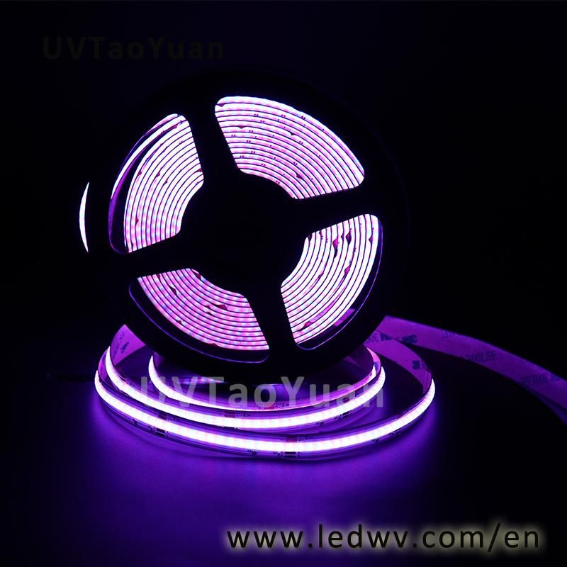 New LED Strip Neon King 220V LED Flexible Light Bar