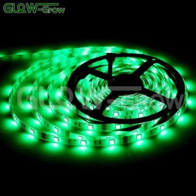 IP44 30LEDs/M 12V SMD5050 RGB Flexible LED Strip Light for Car Bar Home Christmas Wedding Party Decoration