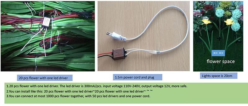 Wholesale Event Festive Party Supplies LED Decoration Light Brassica Campestris Flower