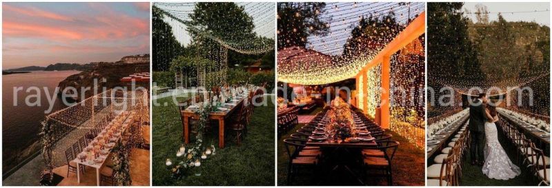 Outdoor Shopping Mall Commercial LED Christmas Curtain Lights