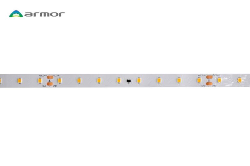 Wholesale Outdoor IP65 IP68 Flexible SMD 2835 RGB with Remoter Waterproofflex LED Strip Light