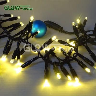 IP65 Dark Green Cable Christmas LED Cracker String Light for Outdoor Use