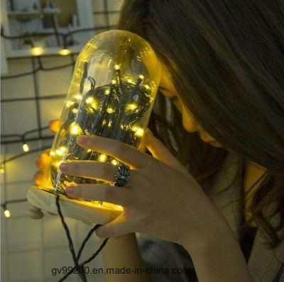 Holiday Single Color Solar LED String Light