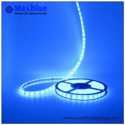 Ce Approved LED Tape Light Manufacturer DC12V SMD3528 Strip Light