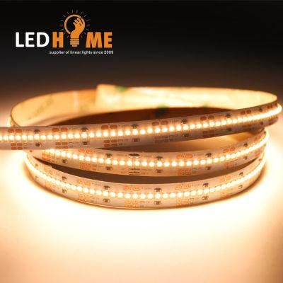 Factory Price 300-700 LEDs/M SMD2110 24V LED Strip/ LED Light Strip/ LED Lighting Strip