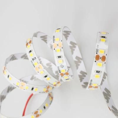 120LEDs DC12V 3000K Flexible LED Strip CE RoHS IP65 Waterproof Silicone Spraying Flexible LED Strip