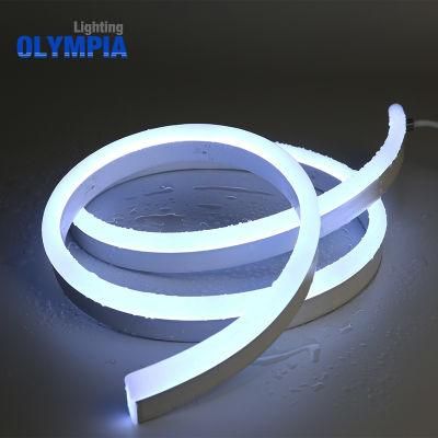 Ultra Thin LED Strip Underwater IP68 Waterproof Neon Light