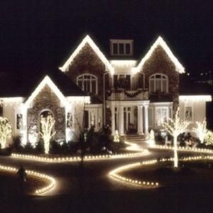 SMD5630 Outdoor Decoration LED Strip Light for Garden Decoration