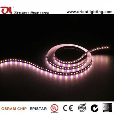 UL Ce SMD 5060&SMD2835 RGBW LED Flexible Strip Light