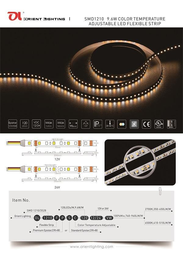 UL Ce 3528 Color Temperature Adjustable Flexible LED Strip Light