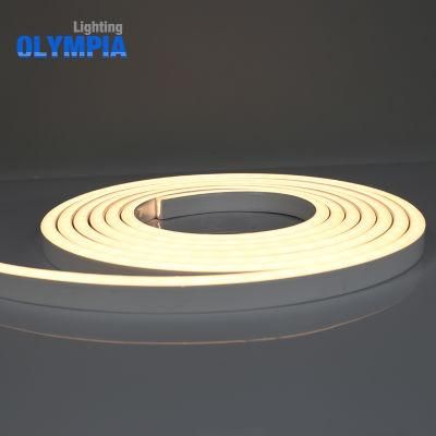 LED Flexible Underwater IP68 Waterproof 24V LED Strip Light