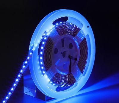 24 V Bare Plate Process 2835 LED Strip Light Tapes