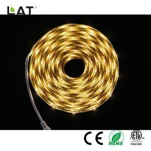 High Brightnessdc12V 5m SMD5050 Ww/Cw 30/60/120LEDs Flexible LED Strip/Tape Ce/ETL/UL