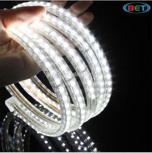 Home Dacoration LED Strip High Quality 220V Flexible